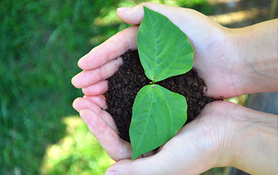 QG刮刮乐(中国区)官方网站